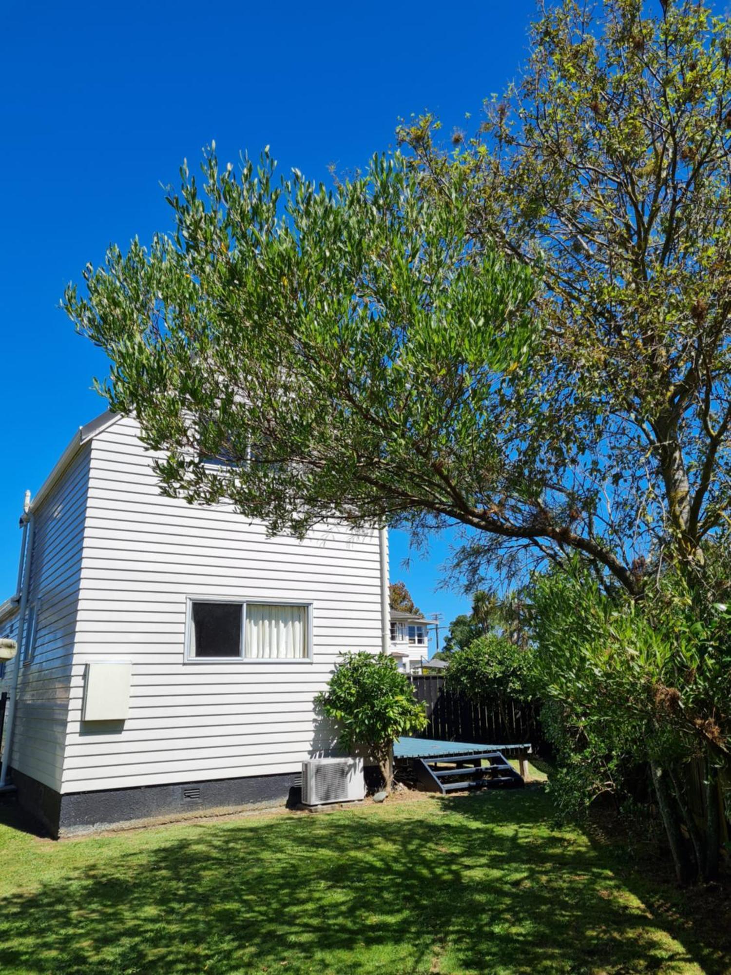 Seaside Tahuna Nelson Room photo